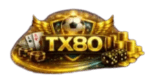 TX80 logo